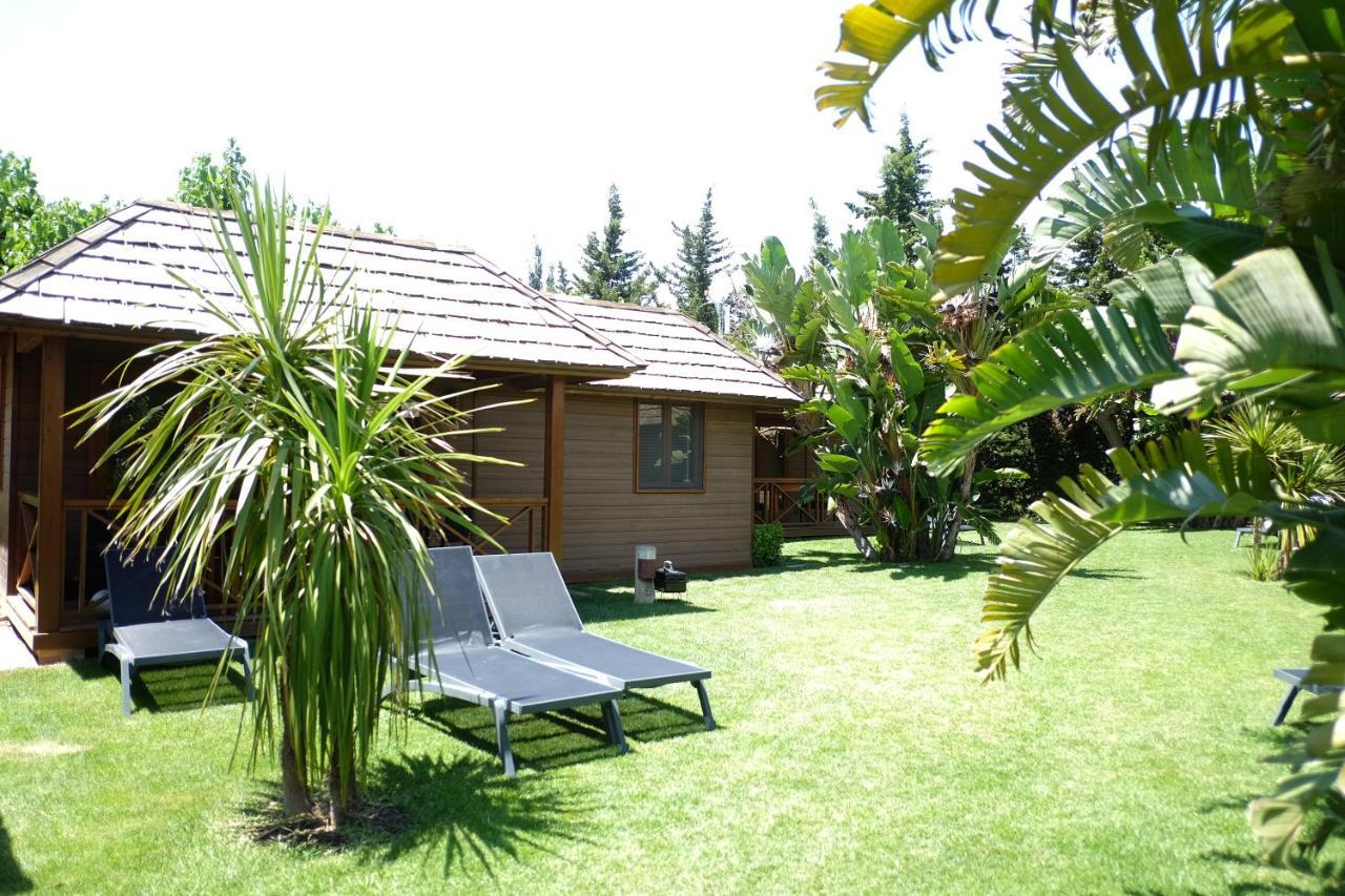 Playa Montroig Camping Resort Exterior foto